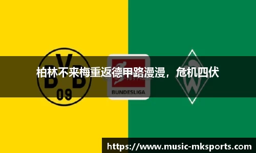 mk体育