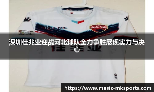 MK体育官网