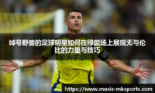 mk体育